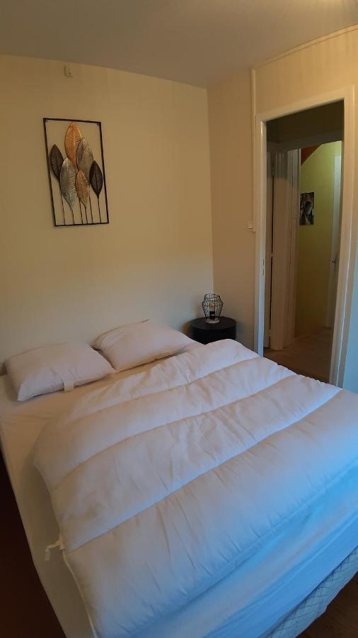 Maison 6-9 Pers Pour Vacances Et Cure ThermaMont-Dore Exterior foto