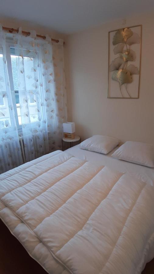 Maison 6-9 Pers Pour Vacances Et Cure ThermaMont-Dore Exterior foto